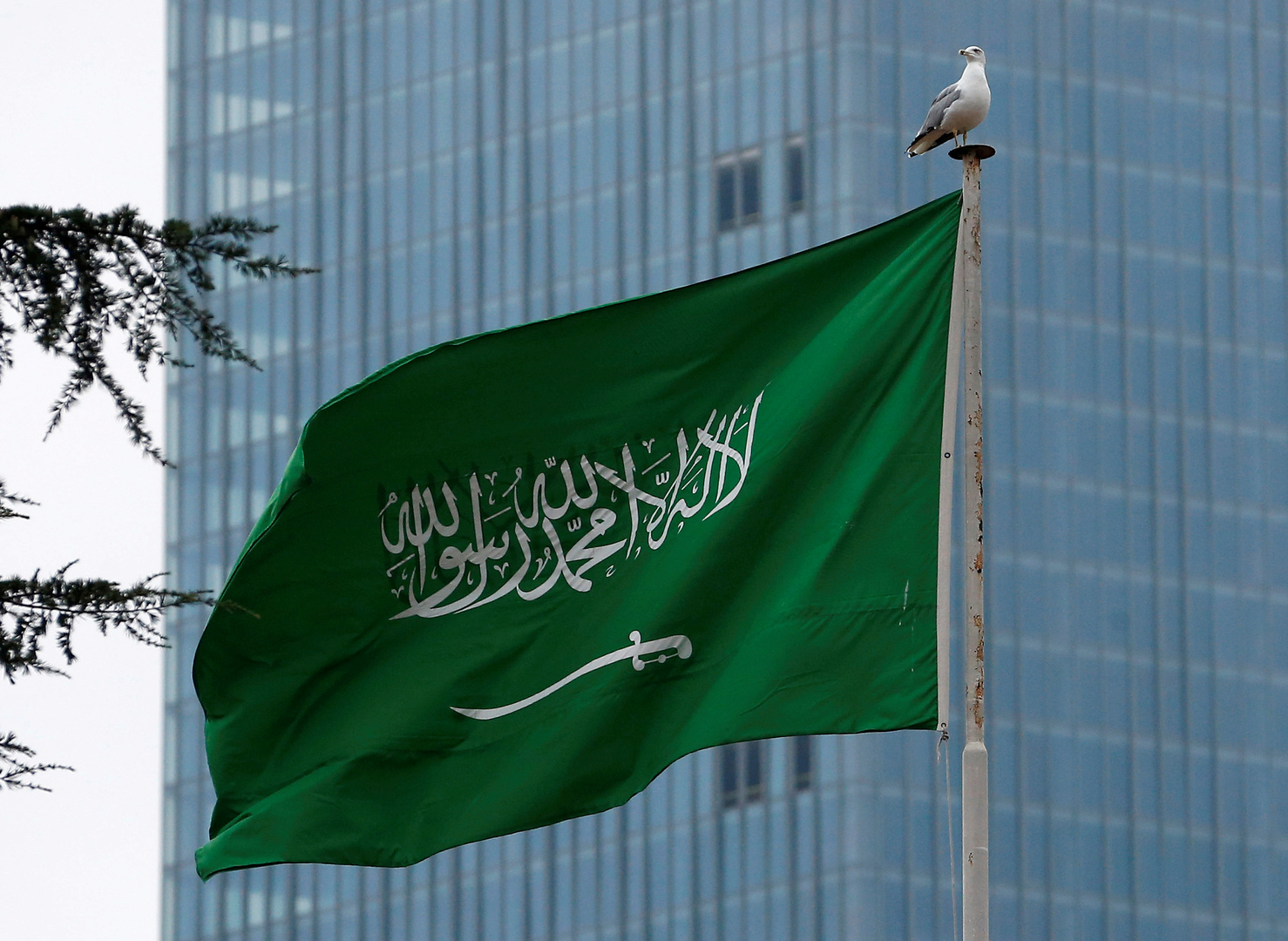 هل سيتغير شكل العلم السعودي؟