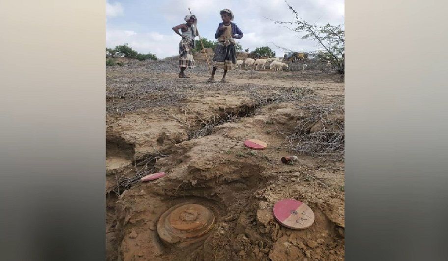 طفلان يعثران على حقل ألغام حوثي أثناء رعي الأغنام في الحديدة