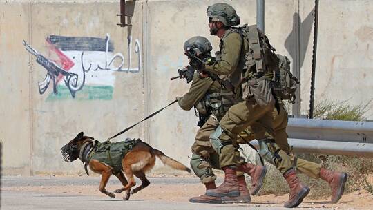 "ظاهرة جديدة" في غزة.. كلاب ضخمة تربك الجيش الإسرائيلي