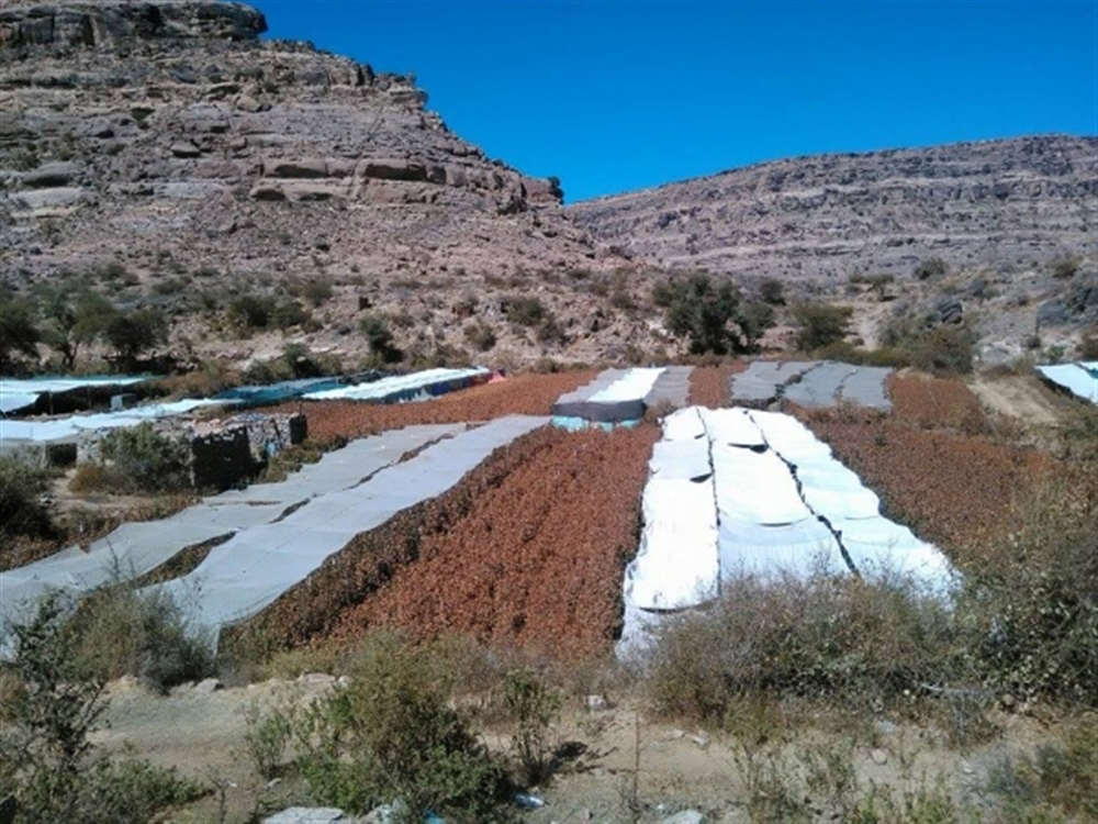 الأرصاد يحذر من أجواء باردة وصقيع في عدة محافظات يمنية