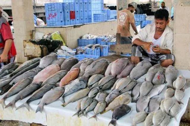 وكالة عالمية تسلط الضوء حول ارتفاع أسعار الأسماك في عدن