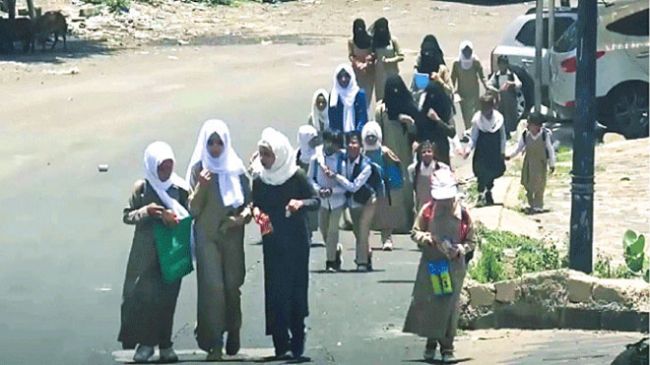 حشرة "الكتن" تغلق مدارس حكومية وأهلية في تعز
