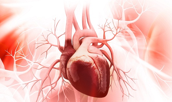 أهم الإرشادات الطبية للحفاظ على صحة القلب