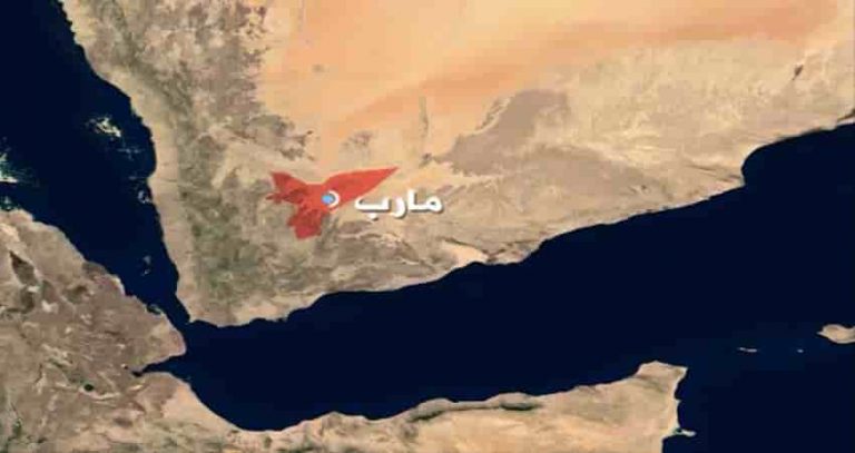 الجيش والمقاومة يواصلون سحق المليشيا الحوثية جنوب وغرب مأرب