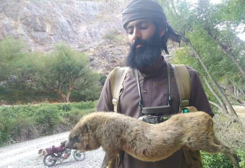 مسلحون بزي أفغاني يصطادون حيوانات برية في الضالع