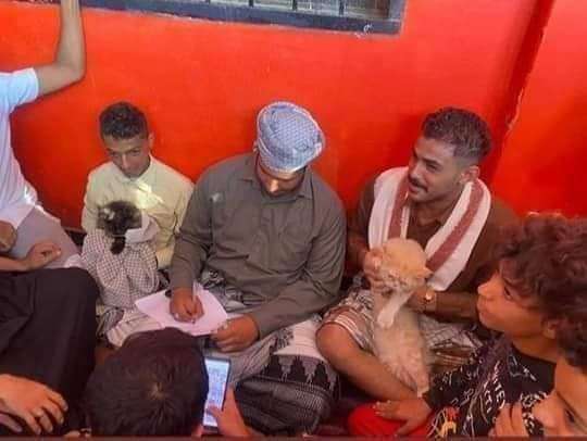زواج قط وقطة في عدن بحضور شهود ومعازيم 
