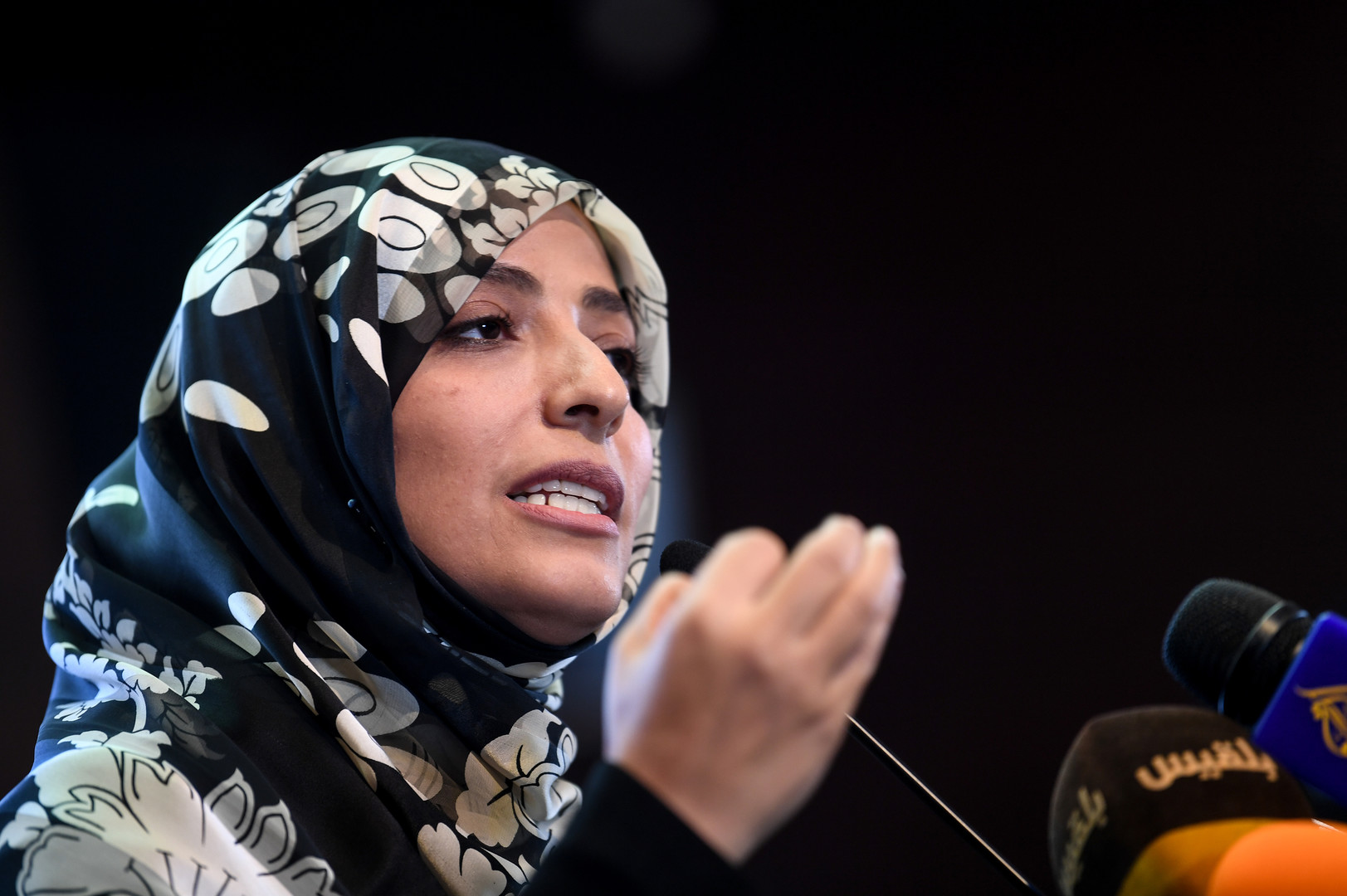  كرمان تكشف خطتها للمصالحة