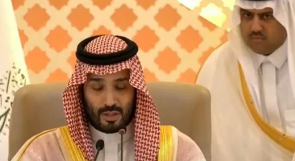 ولي العهد السعودي يعلن اختتام القمة العربية.. ماذا قال؟