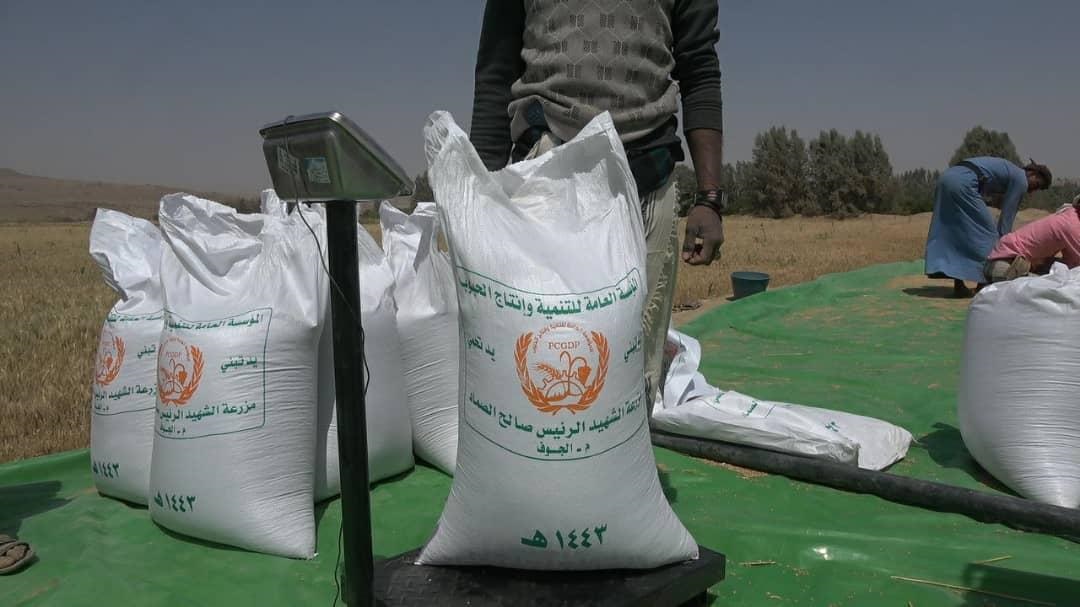 إحراق مزرعة للخوو ثيين في الجوف