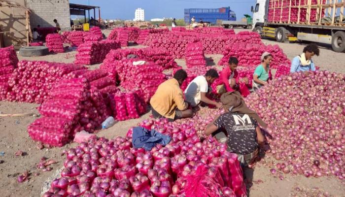 بشرى سارة.. السعودية توافق على استئناف الصادرات الزراعية والسمكية اليمنية