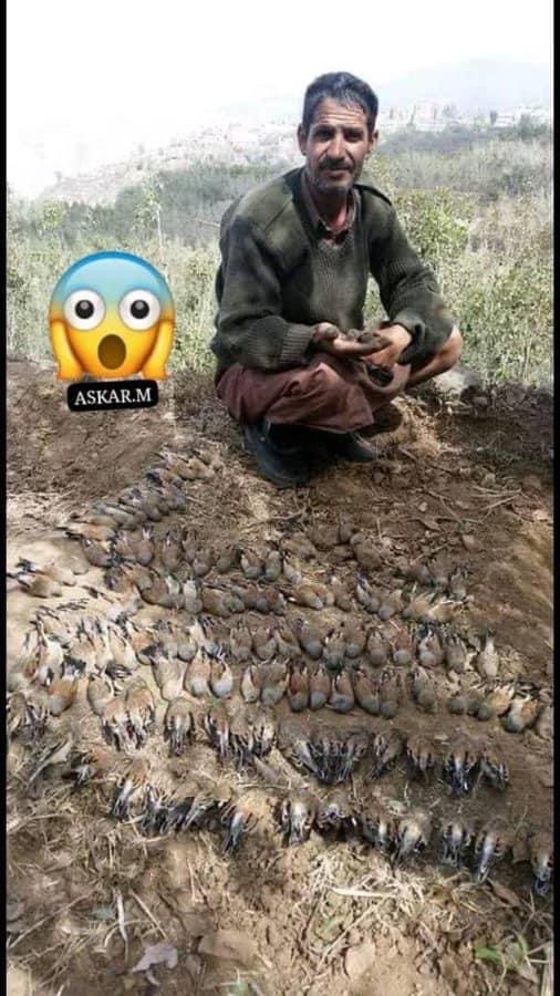 مزارع يمني يعثر على عشرات الطيور نافقة في مزرعته والسبب صادم ومرعب
