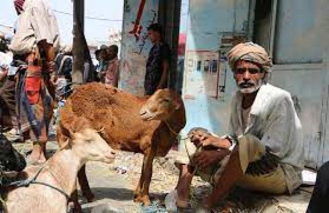 عيد الأضحى في اليمن هذا العام