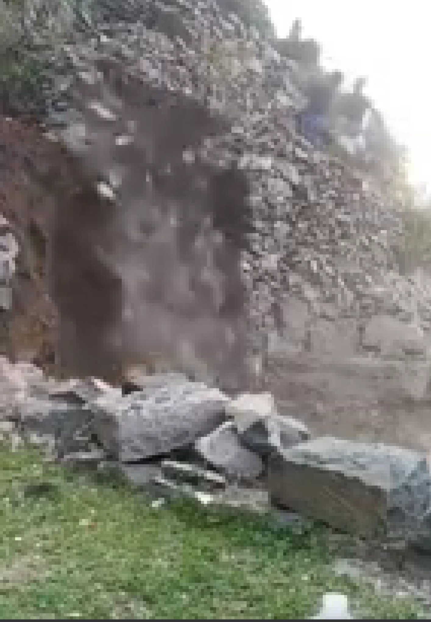 مشهد يحبس الانفاس.. بالفيديو جبل ينشق ويبتلع شاب يمني ثم تتساقط عليه مئات الاحجار وتخفيه 