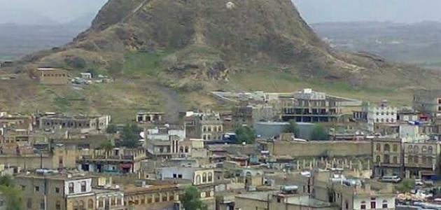 كورونا يخطف روح شقيق محافظ