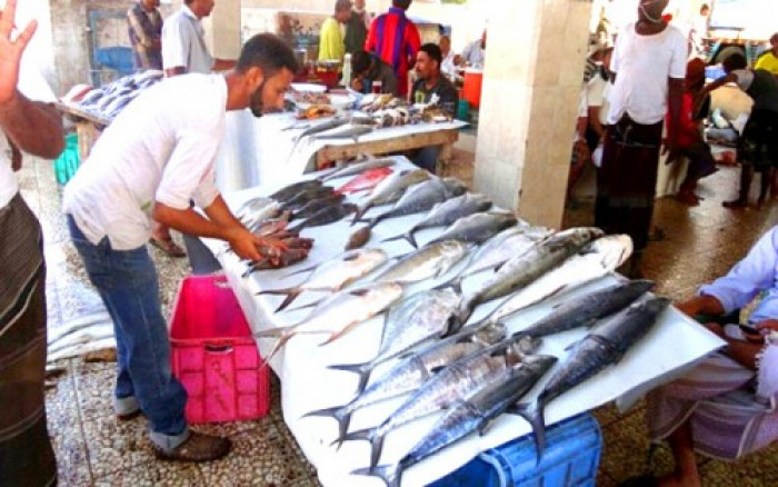 انخفاض جديد في أسعار الأسماك بعدن