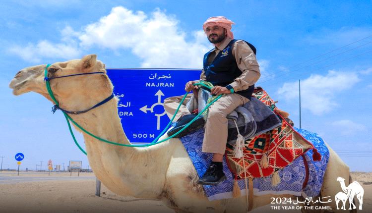 رحالة يمني يقطع 750 كيلومترًا على ظهر جمل