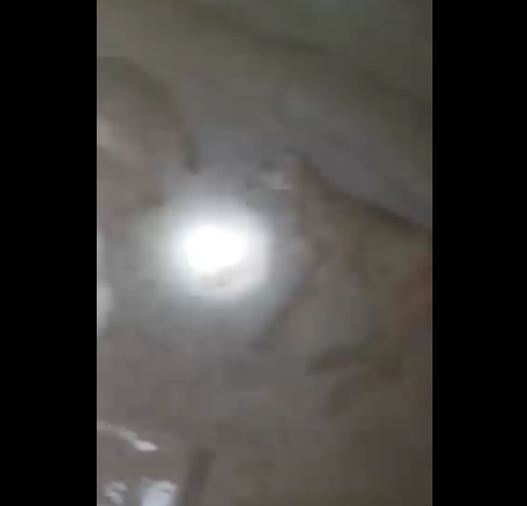 شاهد بالفيديو.. مجموعة ضباع متوحشة تهاجم منزل مواطن يمني وماخلفته كان صادما 